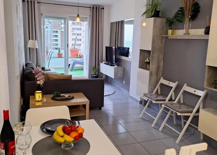 Observador De Delfines Benidorm