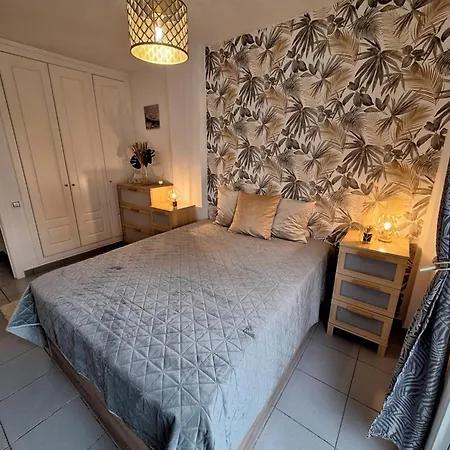 Observador De Delfines * Benidorm