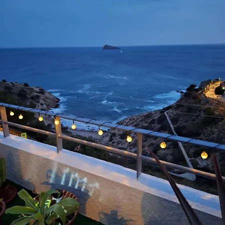 Observador De Delfines