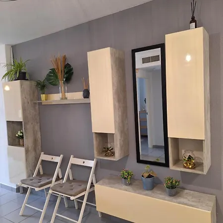 Observador De Delfines