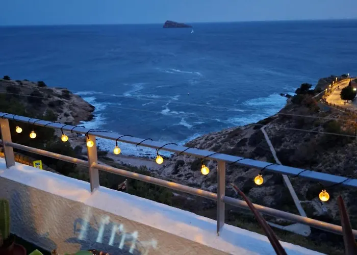 Observador De Delfines